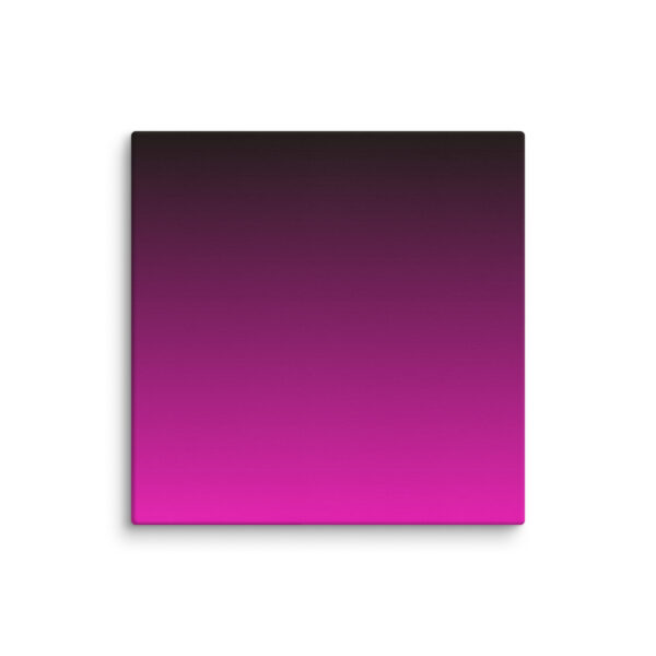 Canvas - Image 14